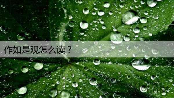 作如是观怎么读？