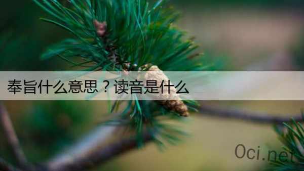 奉旨什么意思？读音是什么