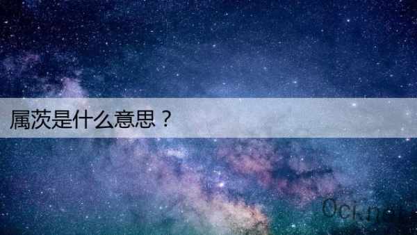 属茨是什么意思？