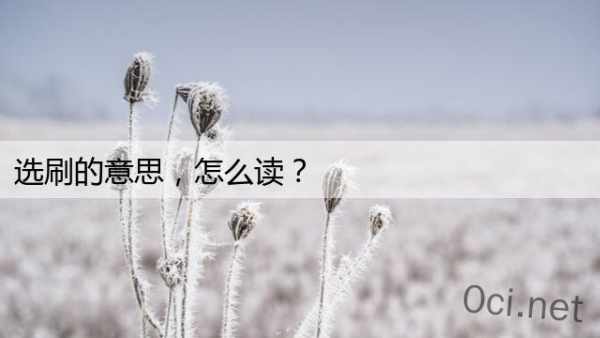 选刷的意思，怎么读？