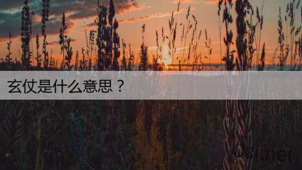 玄仗是什么意思？