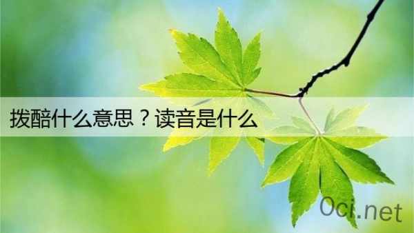 拨醅什么意思？读音是什么