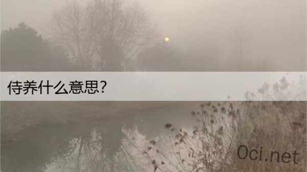 侍养什么意思？