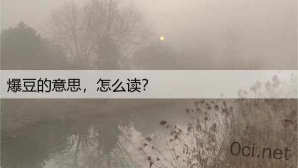 爆豆的意思，怎么读？