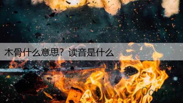 木骨什么意思？读音是什么