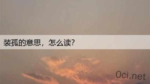 装孤的意思，怎么读？