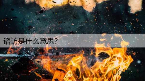 谘访是什么意思？