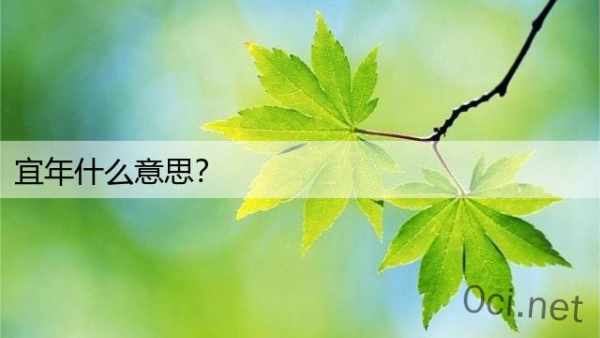 宜年什么意思？