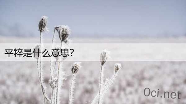 平粹是什么意思？