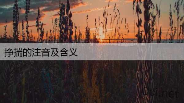 挣揣的注音及含义