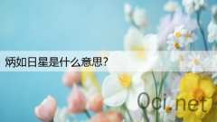 炳如日星是什么意思？