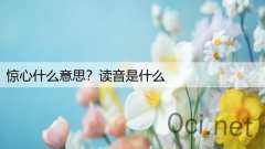 惊心什么意思？读音是什么