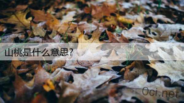 山桃是什么意思？