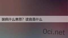 装疯什么意思？读音是什么