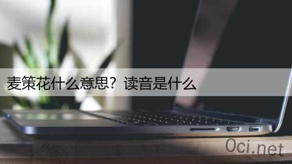 麦策花什么意思？读音是什么