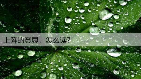 上阵的意思，怎么读？