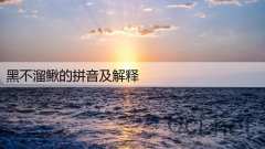 黑不溜鳅的拼音及解释