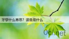 牙孽什么意思？读音是什么