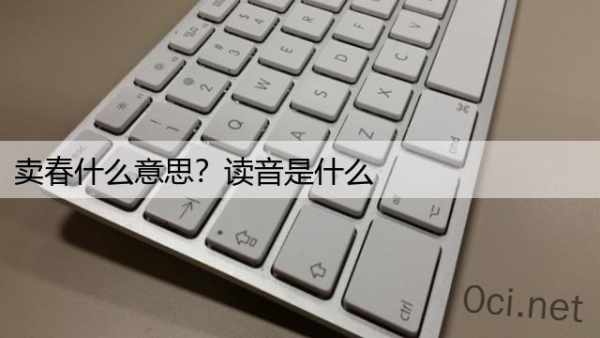 卖春什么意思？读音是什么