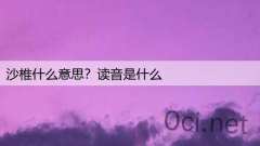 沙椎什么意思？读音是什么