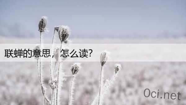 联蝉的意思，怎么读？