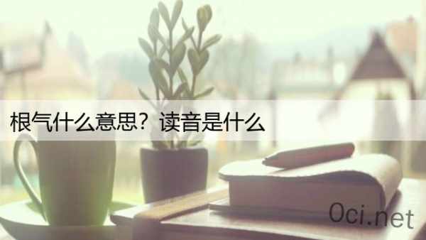 根气什么意思？读音是什么