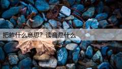 把鲊什么意思？读音是什么