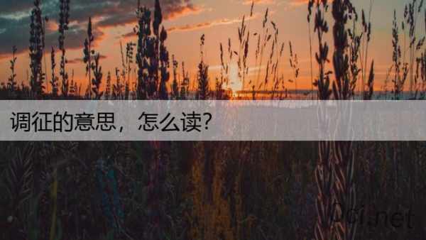 调征的意思，怎么读？