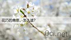 花巧的意思，怎么读？