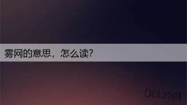 雾网的意思，怎么读？