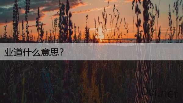 业道什么意思？