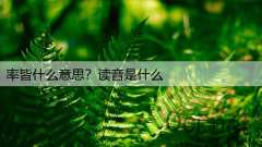 率皆什么意思？读音是什么