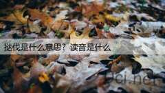 挞伐是什么意思？读音是什么