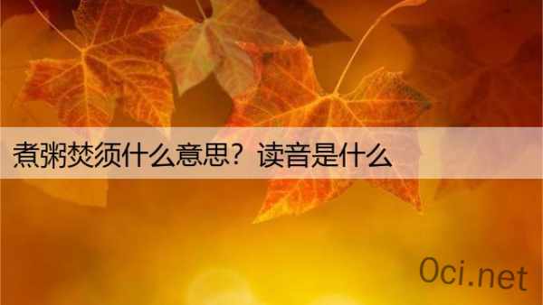 煮粥焚须什么意思？读音是什么