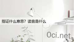 指证什么意思？读音是什么