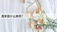 黄茅是什么意思？