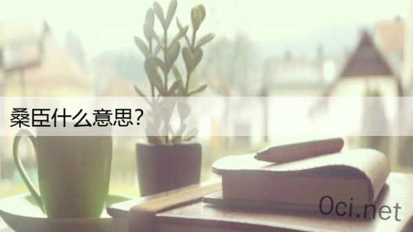 桑臣什么意思？