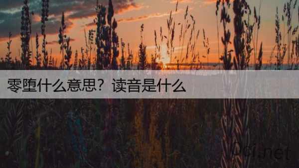 零堕什么意思？读音是什么