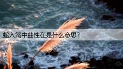 蛇入筩中曲性在是什么意思？