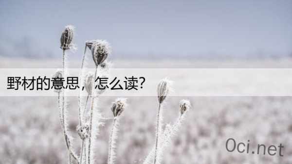 野材的意思，怎么读？