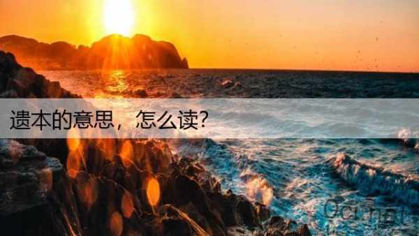 遗本的意思，怎么读？