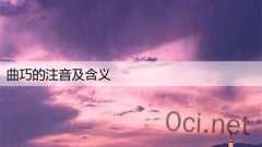 曲巧的注音及含义