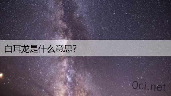 白耳龙是什么意思？