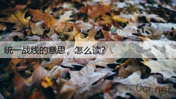 统一战线的意思，怎么读？