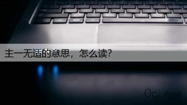 主一无适的意思，怎么读？