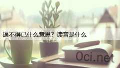 逼不得已什么意思？读音是什么