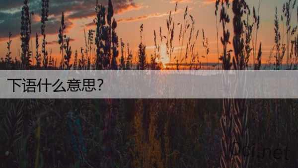 下语什么意思？