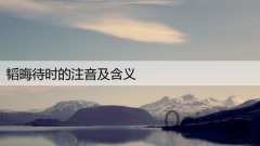 韬晦待时的注音及含义