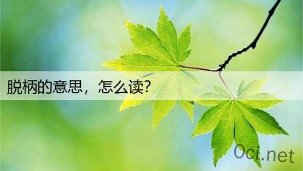 脱柄的意思，怎么读？