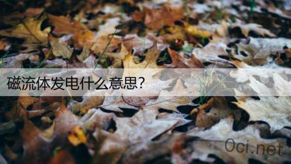 磁流体发电什么意思？